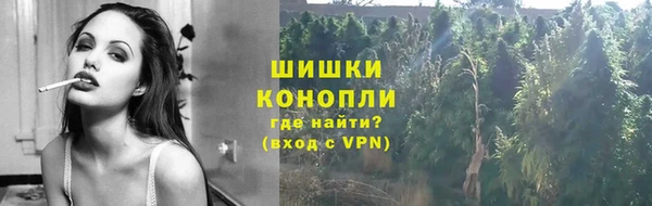 PSILOCYBIN Магас