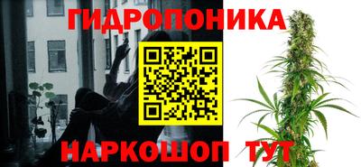 ГАЛЛЮЦИНОГЕННЫЕ ГРИБЫ Жуковский