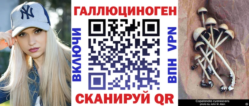 даркнет сайт  Нововоронеж  маркетплейс состав  Псилоцибиновые грибы мухоморы 