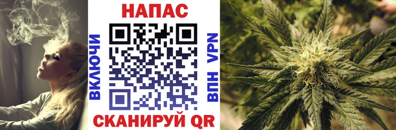 гидра ссылки  где продают   Нововоронеж  Конопля MAZAR 