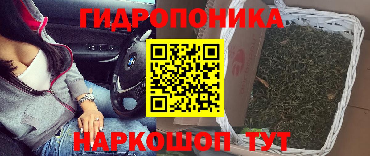 Марихуана сатива Нововоронеж